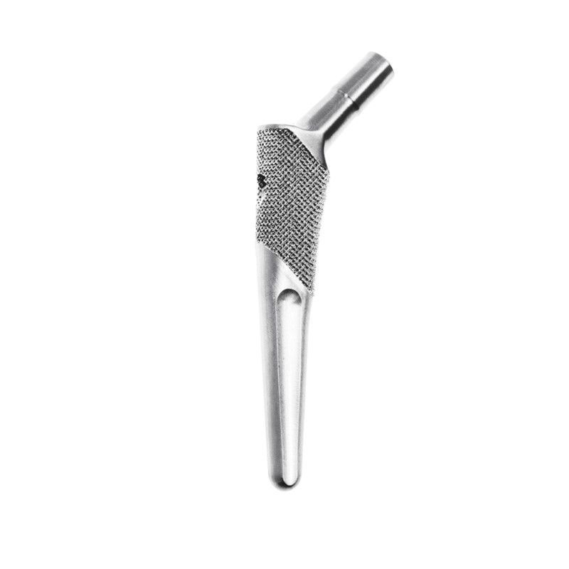 BioMedtrix Universal Hip BFX Lateral Bolt Femoral Stem