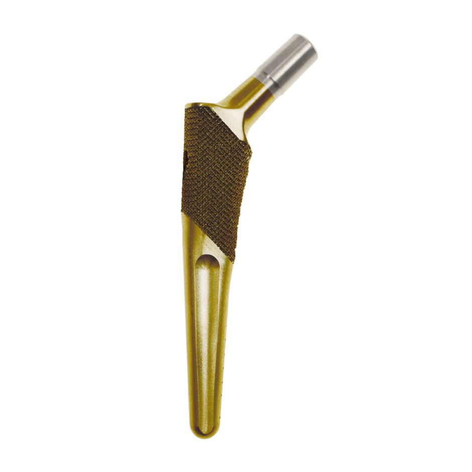 BioMedtrix HyProtect BFX Lateral Bolt Femoral Stem