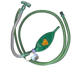 Intersurgical Breathing Circuit