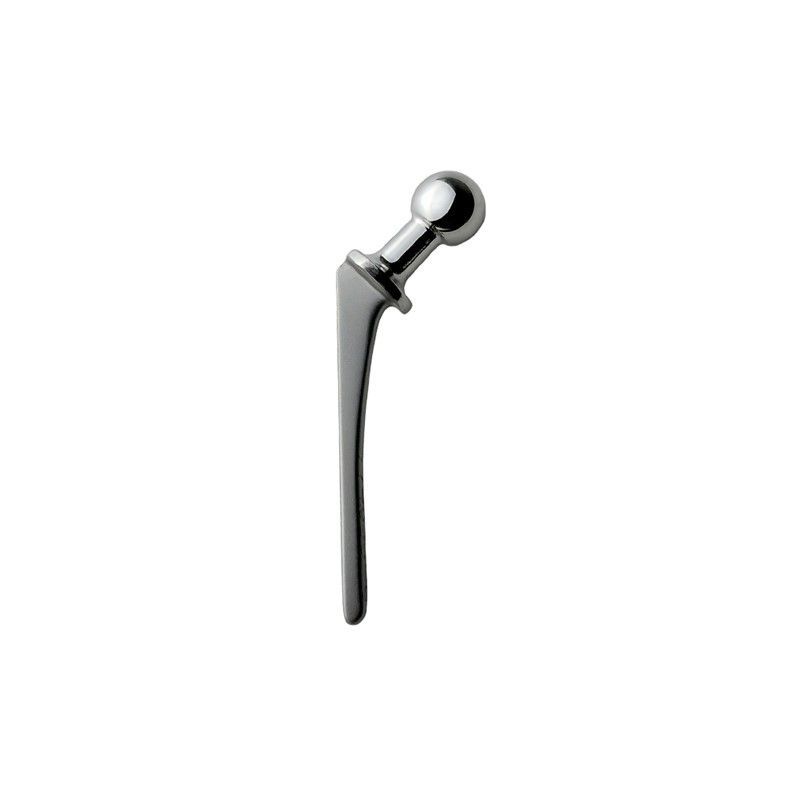 BioMedtrix CFX Femoral Stem