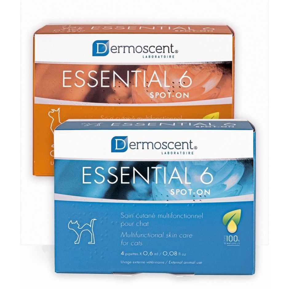 Essential 6 cats hot sale