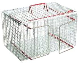 Lory Progetti Restraining Cage