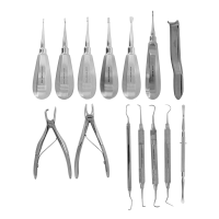 SET25X